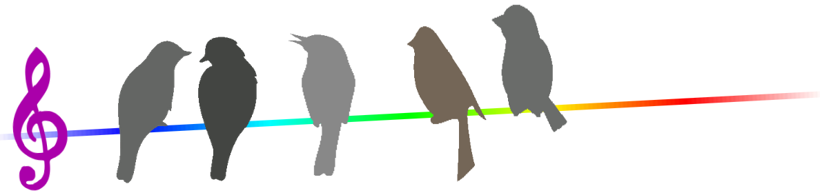 violinschluessel_voegel_5